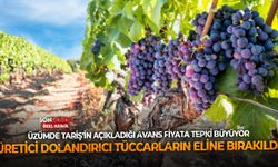 TARİŞ’in açıkladığı fiyata tepki büyüyor: Üzüm üreticisi dolandırıcı tüccarların eline bırakıldı