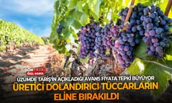 TARİŞ’in açıkladığı fiyata tepki büyüyor: Üzüm üreticisi dolandırıcı tüccarların eline bırakıldı