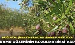 Muğla Akbelen’de şirketin faaliyetlerine karşı dava: Kamu düzeninin bozulma riski var