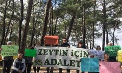 İkizköylüler’den protokol tepkisi: Zeytinliklerimizi alıp köyümüzden göç ettirecekler