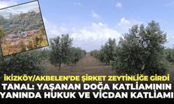 Akbelen’de şirket zeytinliğe girdi: “Yaşanan doğa katliamının yanında hukuk ve vicdan katliamıdır”