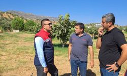 Köşk’te tarım alarmı: Zararlılarla mücadele sahaya taşındı!