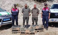 Kaçak avcılıkla yakalanan saka kuşları özgürlüğüne kavuştu