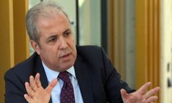 AK Parti'deki peş peşe istifalar sonrası Şamil Tayyar'dan dikkat çeken yorum: Mevzu derin