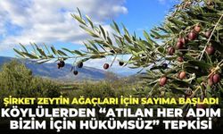 Şirket zeytin ağacı sayımına başladı: Köylülerden ‘atılan her adım bizim için hükümsüz’ tepkisi