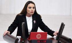 İYİ Partili Türkeş'ten, Avrupa Parlamentosu'na eleştiri yağmuru: "Türk askerine atılan iftira kabul edilemez"