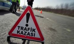 Denizli'de üniversite profesörü direksiyon başında fenalaşıp kaza yaptı!