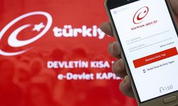 e-Devlet'ten kira sözleşmesi yapılıyor mu? e-Devlet'e yeni eklenen özellikler ne?