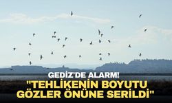 Gediz Deltası’nda alarm: Tehlikenin boyutu gözler önüne serildi