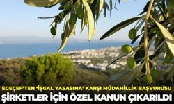 EGEÇEP’ten ‘işgal yasası’na karşı müdahillik talebi: Şirketler için özel kanun çıkarıldı