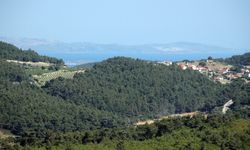 İzmir'deki 548 nüfuslu bu köyde yok yok: Selanik göçmenleri kurdu