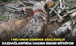 1 milyonun üzerinde ağaç kesildi: Kazdağları’nda maden ısrarı bitmiyor