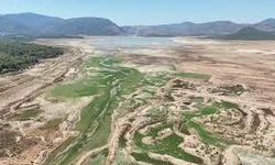 Türkiye susuzluk alarmında: “Sorun biliniyor ama yönetilmiyor”