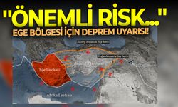 Muğla 4.5 ile sallandı! Ege bölgesi için korkutan uyarı geldi: ''Önemli risk...''