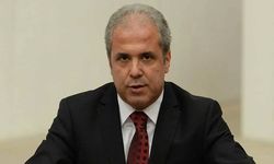 Şamil Tayyar: “Demirtaş’ın tahliyesi mümkün değil, artık hükümlü”
