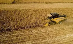 İzmir'in 3 ilçesinde zorunlu arazi düzenlemesi! Resmi Gazete'de yayımlandı!