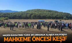 Maden ruhsatının yüzde 38’i ormanlık alanda kalıyordu: Mahkeme öncesi keşif