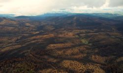 Park ve bahçelerde dev su tüketimi! Uzmanlardan tasarruf önerisi