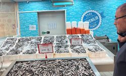 Hamsinin fiyatı vatandaşları sevindirdi: “3 kilo alacağım”