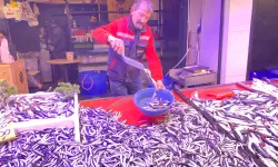 Hamsi denizde bollaşınca fiyatı 100 TL’ye düştü, tezgahların en çok tercih edilen balığı oldu