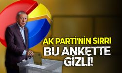 TÇE'den çarpıcı tespit! AK Parti'nin oyunun neredeyse 3'te 2'si doğrudan çalışmayan kesimden geliyor