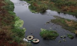 Prof. Dr. Sarı, Gönen Çayı’ndaki kirliliğin durdurulması çağrısı yaptı
