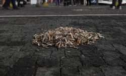 Yere çöp atana ceza uygulaması başlıyor