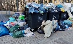 Berlin’den çevre kirliliğine rekor cezalar: 100 bin euroya kadar yaptırım