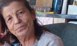 Bodrum’da otomobilin çarptığı 74 yaşındaki kadın 11 günlük yaşam mücadelesini kaybetti!