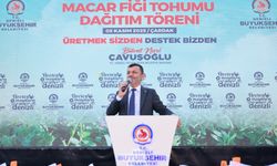 681 üreticiye 44 ton Macar fiği dağıtımı