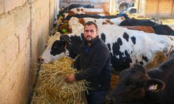 Dört inekle başladı, çiftlik kurdu!