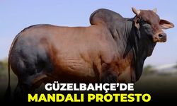 İzmir Güzelbahçe’de mandalı protesto!