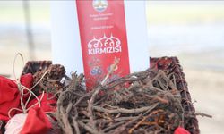 Edirne kırmızısı doğal boyasıyla yeniden kent kültürüne kazandırılıyor