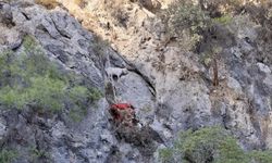 AKUT, Fethiye’de kayalıklarda sıkışan 4 keçiyi kurtardı!