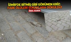 İzmir’de bitmiş gibi görünen kriz... Fare ölüleri sokaklara döküldü!