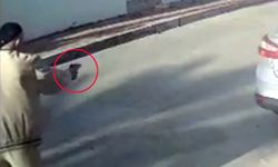 Havladı diye köpeği vuran emekli polise yakalama emri!