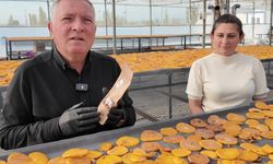 Cennet hurması cipsi!