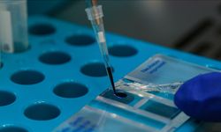 Sağlık Bakanlığı iklim değişikliğine karşı eylem planı hazırlayacak