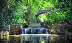 İzmir'de sonbaharın en güzel hali burada yaşanıyor: Taş sokaklardan dere kıyısına keşif rotası