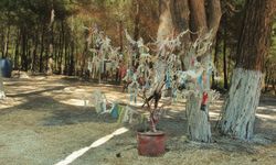 İzmirlilerin çok bilmediği o hikaye: Yılanlarla Rumları kovan tekke dedesi