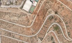 Karbon yutak alanı projesiyle şehir yeşile dönüştürülüyor