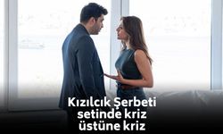 Kızılcık Şerbeti'nde ayrılıkların perde arkası ortaya çıktı... Hijyen krizi çok konuşulacak!