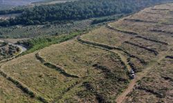 Manisa’da yanan ormanlar “Yeşil Vatan”a dönüştürülüyor