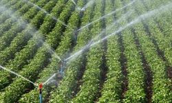 Gelecek yıl 64 bin hektar alan daha sulamaya açılacak