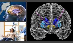 İzmirli uzman anlattı! TMS ile bağımlılıktan kurtulmak mümkün