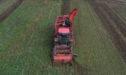 Devlet desteğiyle tarım çeşitliliği artıyor