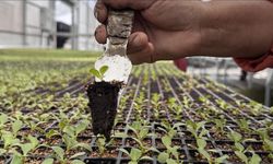 Tarım ve Orman Bakanlığı'ndan OTB'lere 6 milyar liralık dev destek!