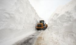 Muş’ta yoğun kar yağışı 200 koyun ve 5 araç yolda mahsur kaldı
