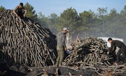 Meşe odunundan alın terine! Bir ton kömür 28 bin lira