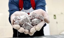 Türk mutfağına yeni bir lezzet eklendi! 'Dünya Hali'